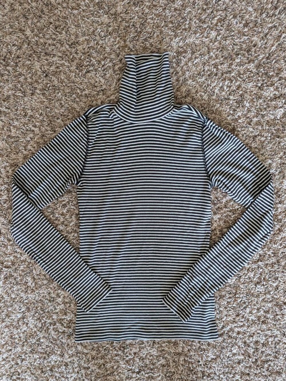 Everlane The Luxe Rib Turtleneck in Black and White Stripes
